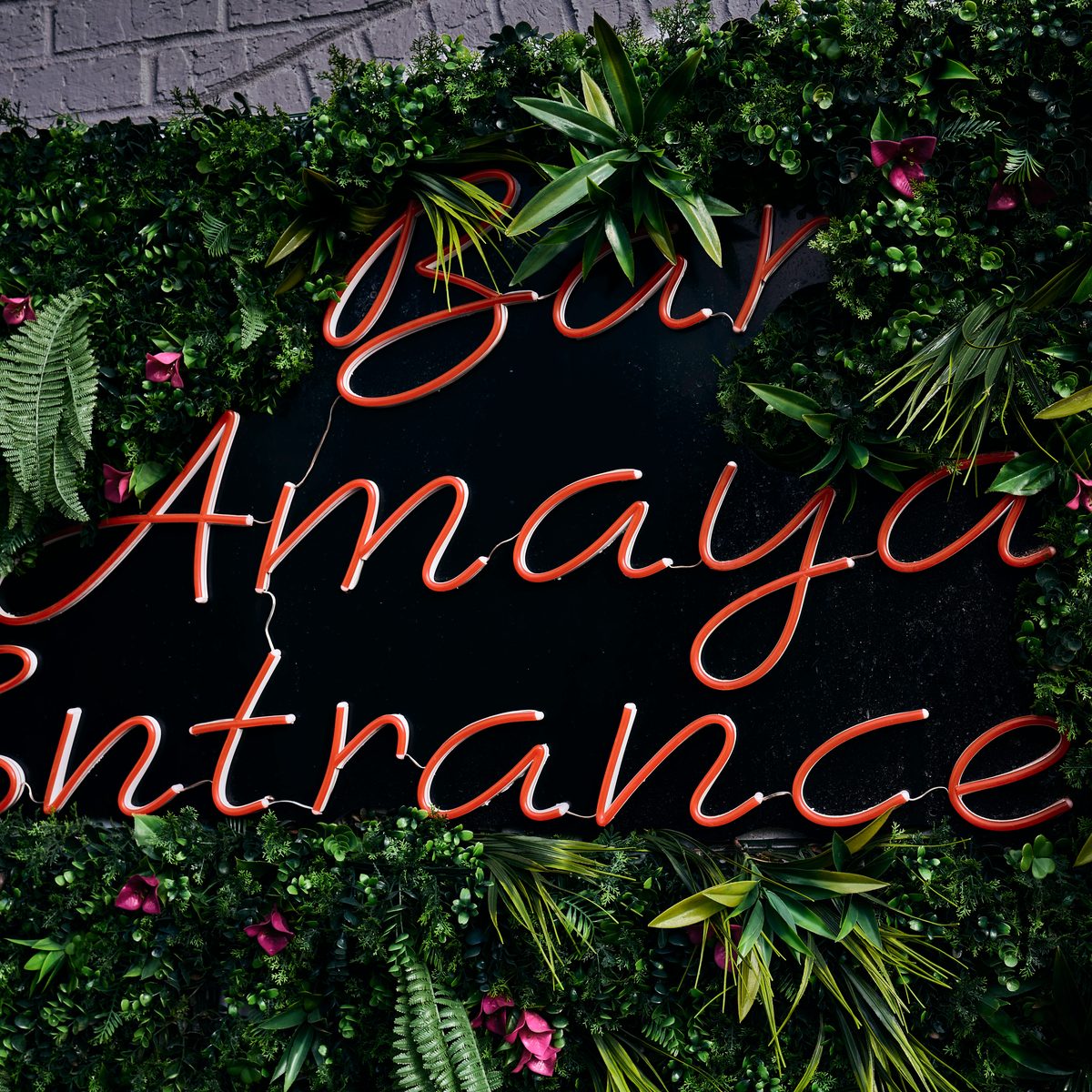 Visit Bar Amaya