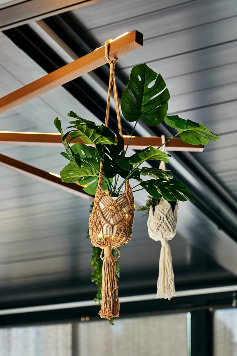 Two artificial plants in macrame hangers, one with fairy lights, hanging from a modern ceiling.